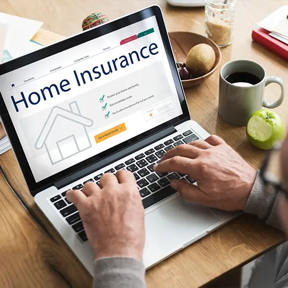 Person Using Laptop to Browse Home Insurance Options Online